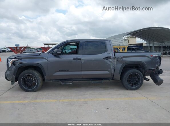 5TFLA5DBXPX096630 2023 TOYOTA TUNDRA Gray Widok wnętrza 360 stopni