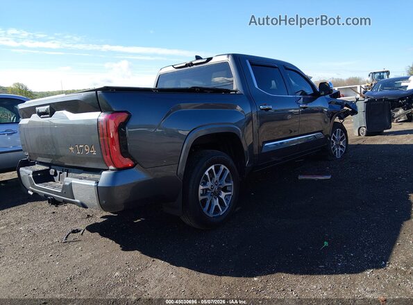 5TFMA5DB5SX303521 2025 TOYOTA TUNDRA Gray 