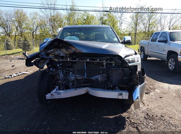 5TFMA5DB5SX303521 2025 TOYOTA TUNDRA Gray 