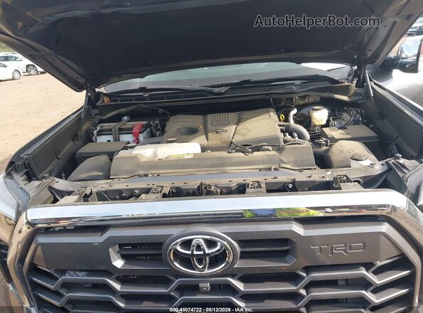 5TFMA5DBXRX160592 2024 TOYOTA TUNDRA Black Vista trasera