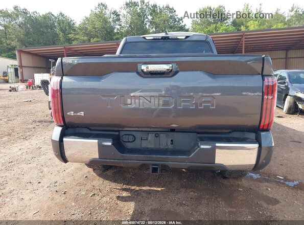 5TFMA5DBXRX160592 2024 TOYOTA TUNDRA Black 