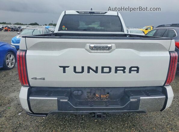 5TFMC5DB3NX009999 2022 TOYOTA TUNDRA White Вид ззаду