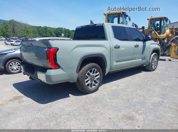 5TFMC5DB3SX094435 2025 TOYOTA TUNDRA HYBRID Green უკანა მარჯვენა