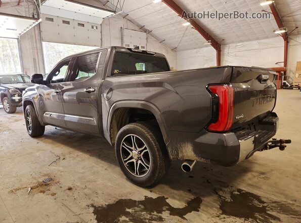 5TFMC5DB5PX016102 2023 TOYOTA TUNDRA Gray 