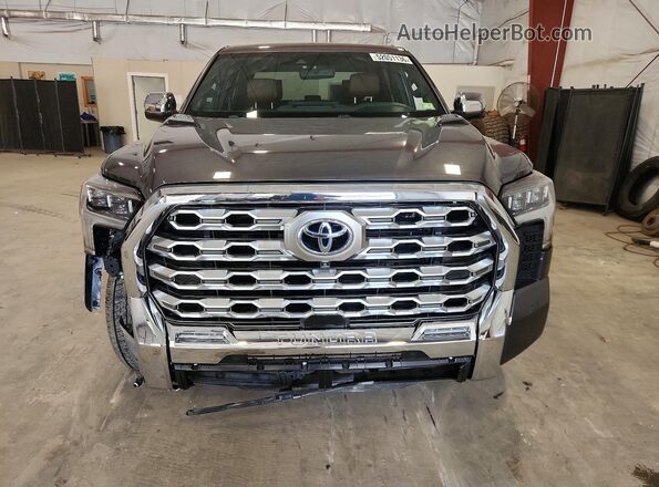 5TFMC5DB5PX016102 2023 TOYOTA TUNDRA Gray 