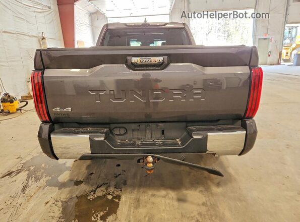 5TFMC5DB5PX016102 2023 TOYOTA TUNDRA Gray 