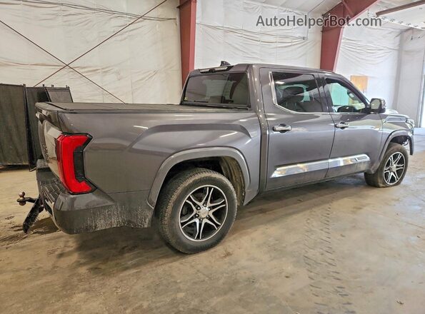 5TFMC5DB5PX016102 2023 TOYOTA TUNDRA Gray 