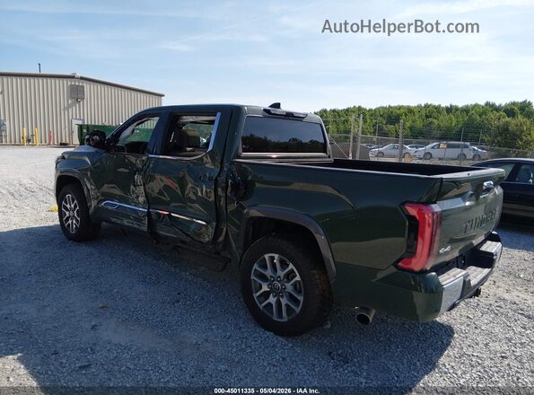 5TFMC5DB5PX033546 2023 TOYOTA TUNDRA HYBRID Зеленый Задняя левая четверть