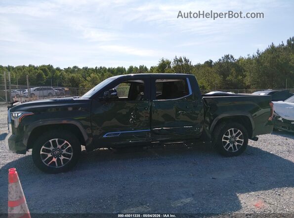 5TFMC5DB5PX033546 2023 TOYOTA TUNDRA HYBRID Зеленый Панорамный вид салона 360°