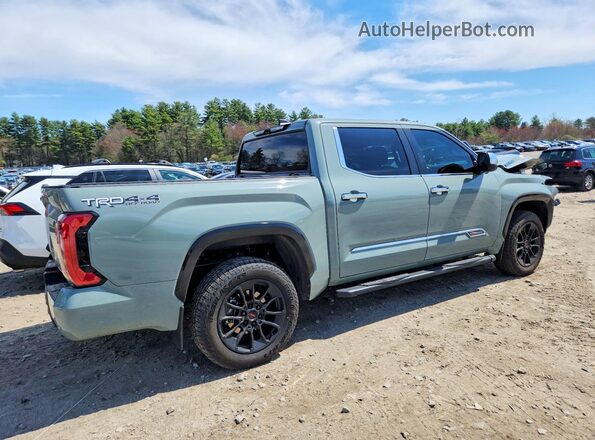 5TFMC5DB6TX116042 2026 TOYOTA TUNDRA Green 