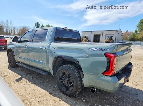 5TFMC5DB6TX116042 2026 TOYOTA TUNDRA Green 