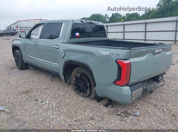 5TFMC5DB7SX106716 2025 TOYOTA TUNDRA HYBRID Green Задня ліва чверть