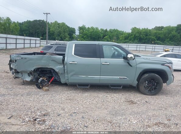 5TFMC5DB7SX106716 2025 TOYOTA TUNDRA HYBRID Green Панорамний вид салону 360°
