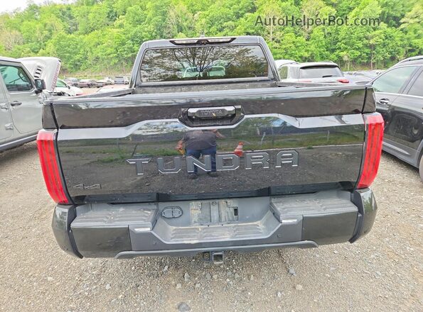 5TFMC5DB8RX058718 2024 TOYOTA TUNDRA Black 