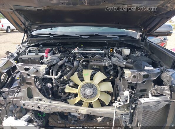 5TFNA5DB5SX304799 2025 TOYOTA TUNDRA Серый Вид сзади