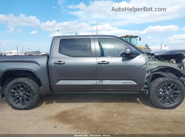 5TFNA5DB5SX304799 2025 TOYOTA TUNDRA Серый Панорамный вид салона 360°