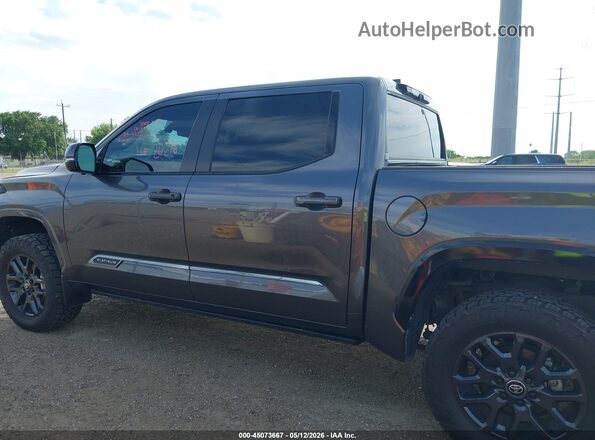 5TFNA5DB5SX304799 2025 TOYOTA TUNDRA Серый 