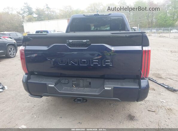 5TFNA5DB5SX307041 2025 TOYOTA TUNDRA Blue 