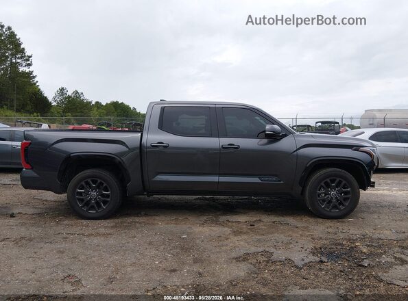 5TFNA5DB8PX124921 2023 TOYOTA TUNDRA Gray Vista interior de 360 grados