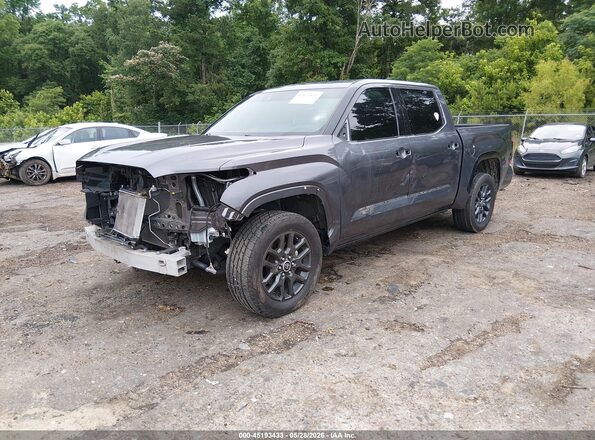 5TFNA5DB8PX124921 2023 TOYOTA TUNDRA Gray Vista tres cuartos delantera izquierda