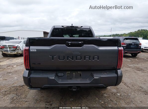 5TFNA5DB8PX124921 2023 TOYOTA TUNDRA Gray 