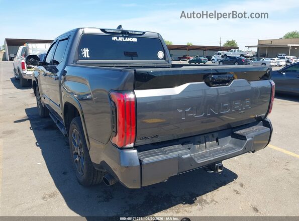 5TFNC5DB9SX103272 2025 TOYOTA TUNDRA HYBRID Gray Tył lewy