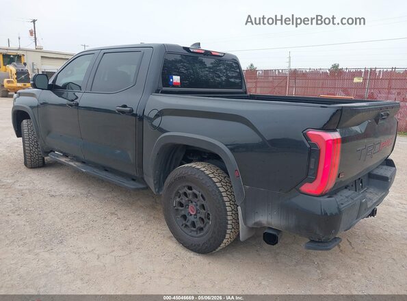 5TFPC5DB2SX113599 2025 TOYOTA TUNDRA HYBRID Black უკანა მარცხენა