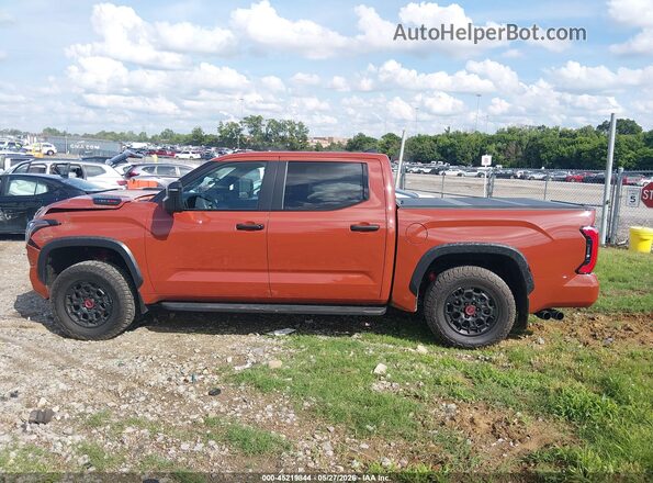 5TFPC5DB3RX060423 2024 TOYOTA TUNDRA HYBRID Brown 