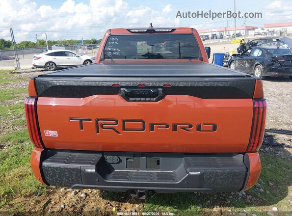 5TFPC5DB3RX060423 2024 TOYOTA TUNDRA HYBRID Brown 