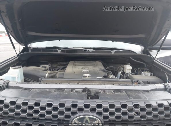 5TFUM5F13KX080391 2019 TOYOTA TUNDRA Gray Widok z tyłu