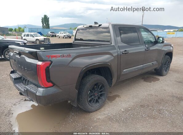 5TFWA5DB4SX268222 2025 TOYOTA TUNDRA Gray Հետևի աջ
