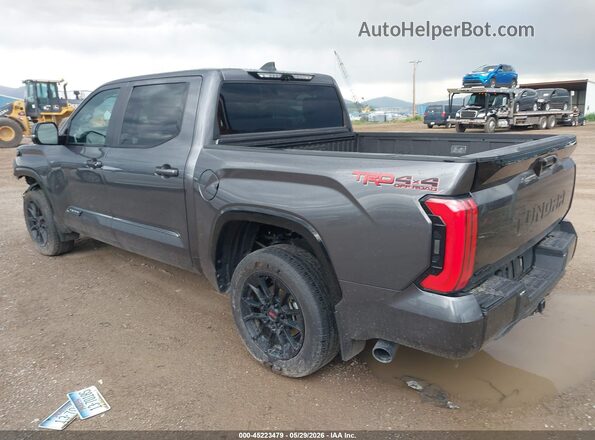 5TFWA5DB4SX268222 2025 TOYOTA TUNDRA Gray Հետևի ձախ