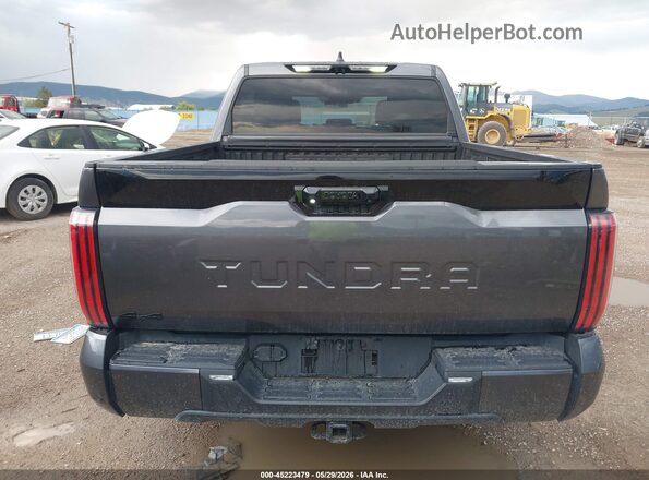 5TFWA5DB4SX268222 2025 TOYOTA TUNDRA Gray 