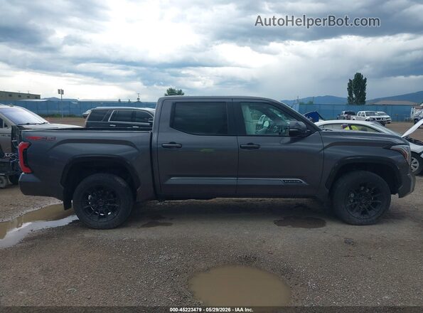 5TFWA5DB4SX268222 2025 TOYOTA TUNDRA Gray Սալոնի հետևի տեսք