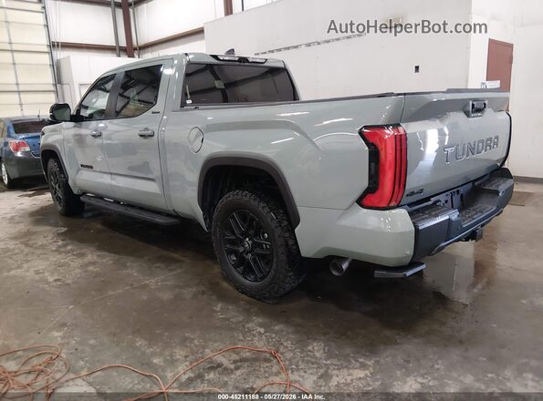 5TFWA5EC1SX044476 2025 TOYOTA TUNDRA Синий Задняя левая четверть