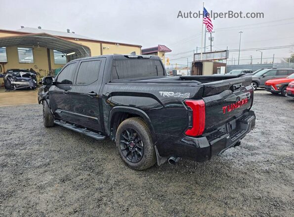5TFWC5DB0SX090593 2025 TOYOTA TUNDRA Black Задня ліва чверть