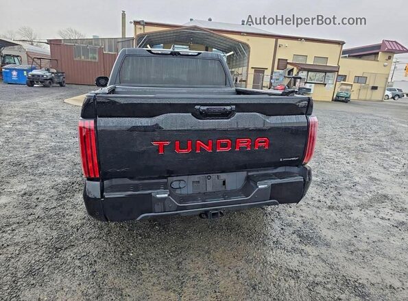 5TFWC5DB0SX090593 2025 TOYOTA TUNDRA Black Вид ззаду