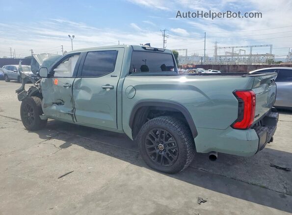 5TFWC5DB4RX056117 2024 TOYOTA LIMITED Зеленый Задняя левая четверть