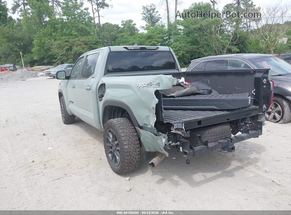 5TFWC5DB9RX069705 2024 TOYOTA TUNDRA HYBRID Gray უკანა მარცხენა