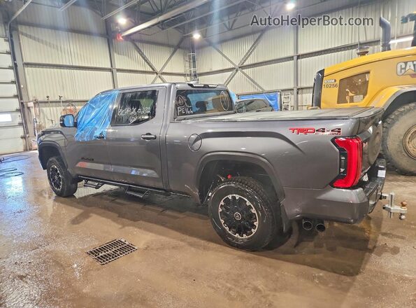 5TFWC5EC8RX005629 2024 TOYOTA TUNDRA Gray Tył lewy