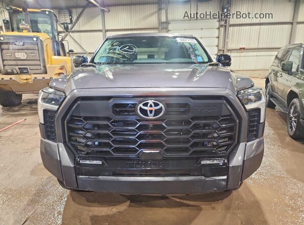 5TFWC5EC8RX005629 2024 TOYOTA TUNDRA Gray Widok z przodu