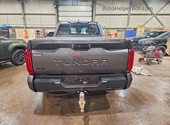 5TFWC5EC8RX005629 2024 TOYOTA TUNDRA Gray Widok z tyłu
