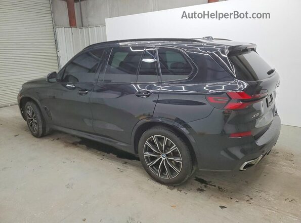 5UX13EU02S9W61352 2025 BMW X5 Черный Задняя левая четверть