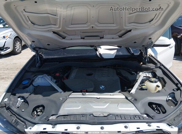 5UX53DP08P9P05630 2023 BMW X3 Белый Вид сзади