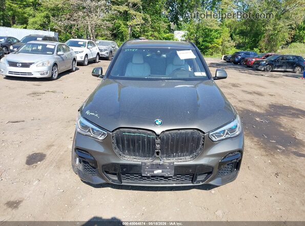 5UXCR6C01P9R45108 2023 BMW X5 Dark Brown Սարքավորումների վահանակի տեսք