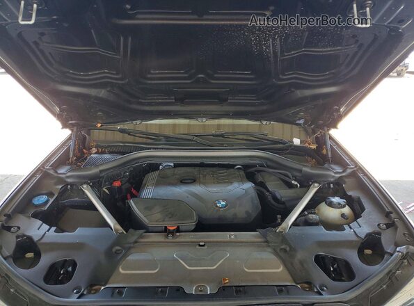 5UXTY3C09M9E19812 2021 BMW X3 Black Vista interior trasera