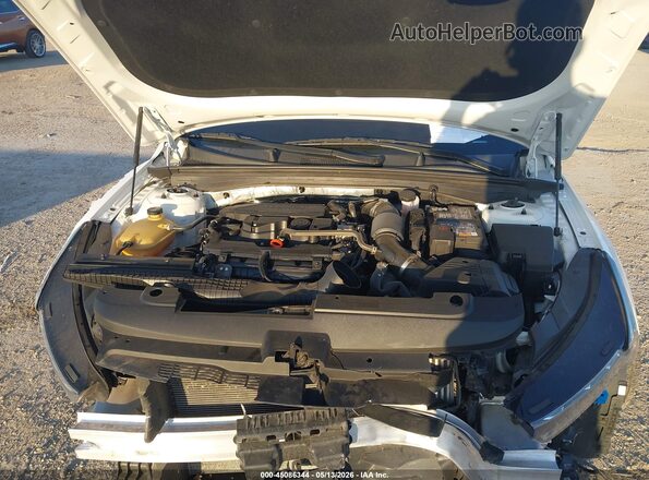 5XXG64J27RG233339 2024 KIA K5 White Widok z tyłu
