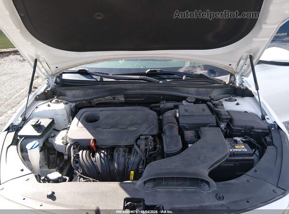 5XXGU4L32JG195566 2018 KIA OPTIMA White Rear view