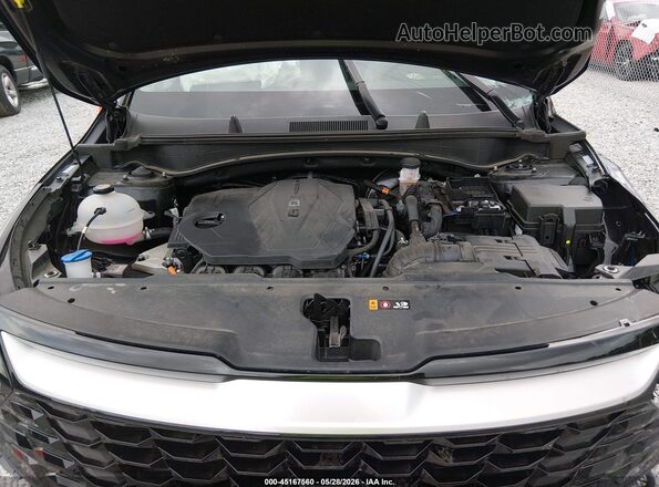 5XYK33DF1RG215183 2024 KIA SPORTAGE Черный Вид сзади