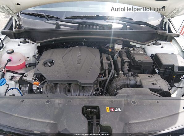 5XYK33DF3SG262883 2025 KIA SPORTAGE White 